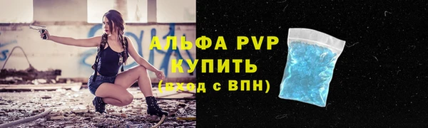 крисы Богородск