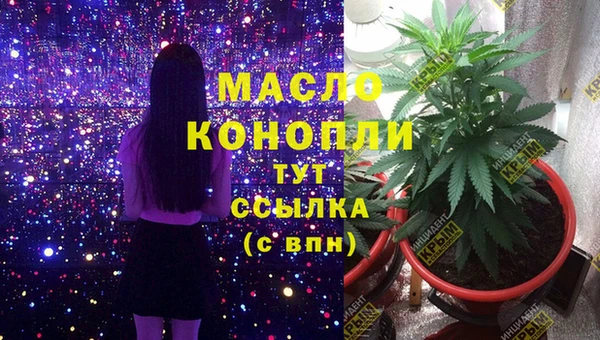 таблы Бородино