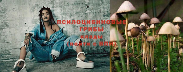 таблы Бородино