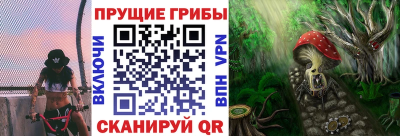 Псилоцибиновые грибы Magic Shrooms где продают наркотики Тихорецк